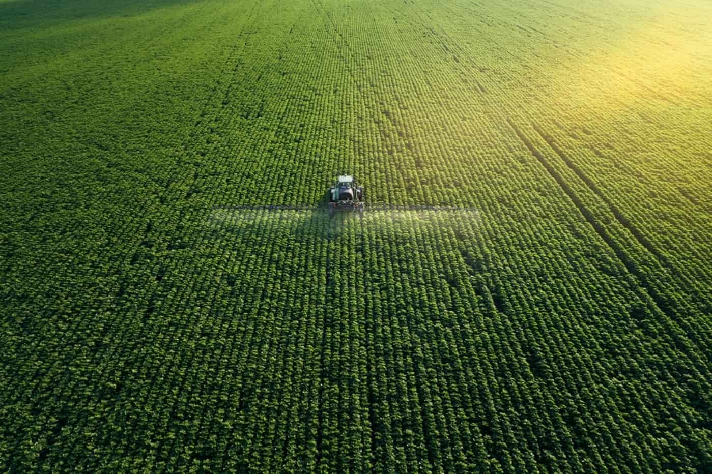 Atividade econômica do setor agropecuário maranhense cresce 6,4% no segundo trimestre de 2023