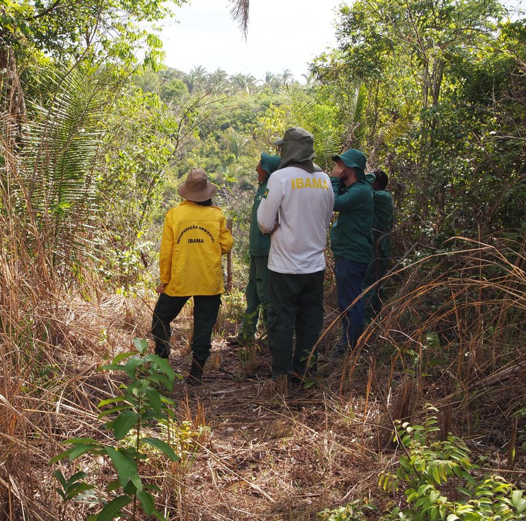 Ibama vistoria áreas degradadas no Maranhão