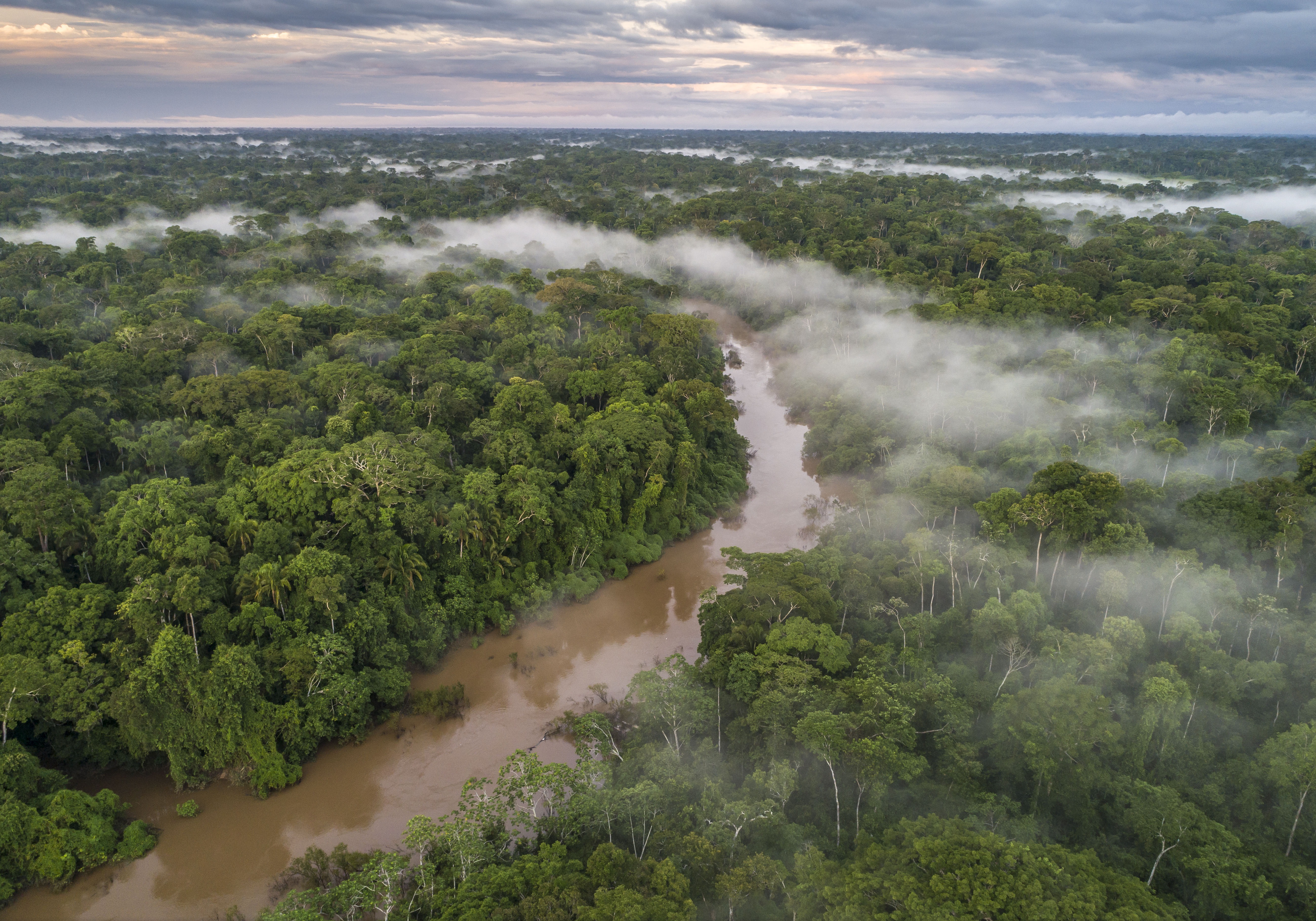 Área sob alertas de desmatamento na Amazônia cai 49,9% em 2023