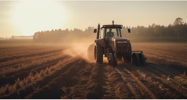 Maranhão deverá receber R$ 4 bilhões por meio de Fundo de Financiamento do Nordeste(FNE)
