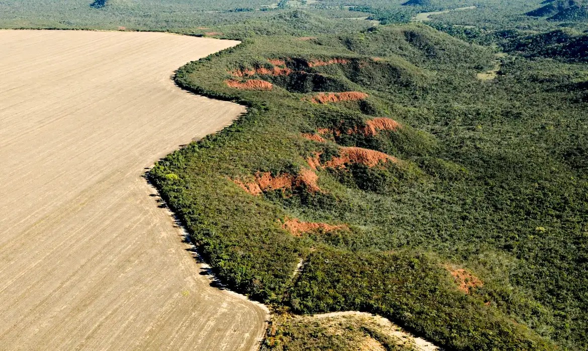 Cerrado perde em janeiro 51 mil hectares de vegetação nativa