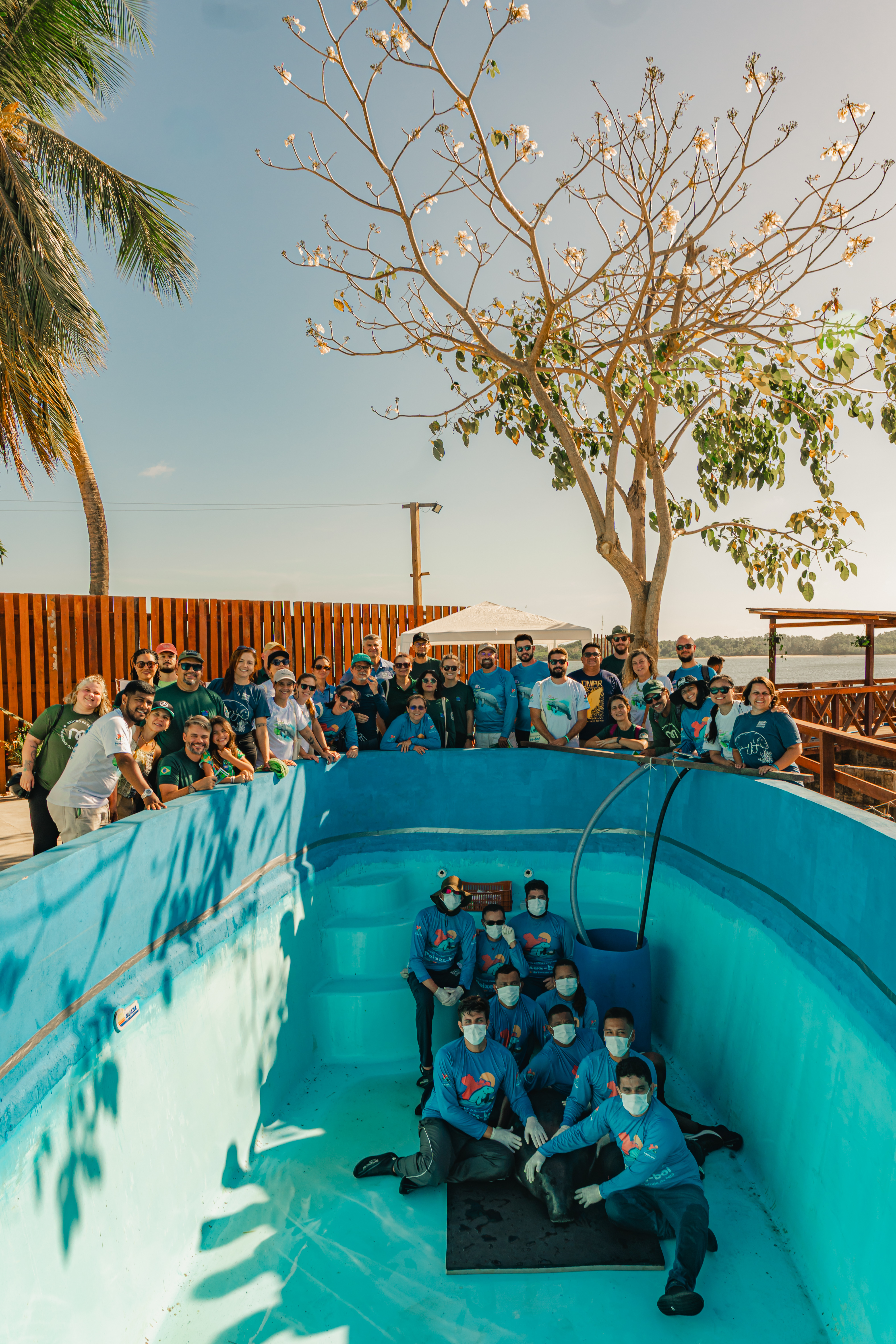 TGS inaugura primeiro recinto de aclimatação para peixes-boi